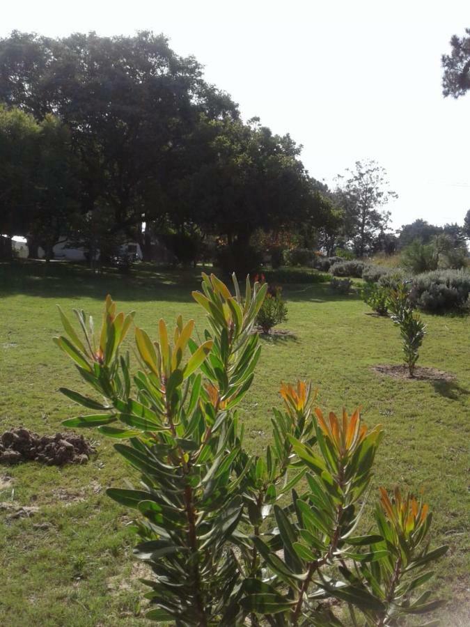 Guinea Fowl Villa Plettenberg Bay Eksteriør bilde